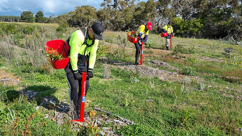South West, WA Tree Planting Update