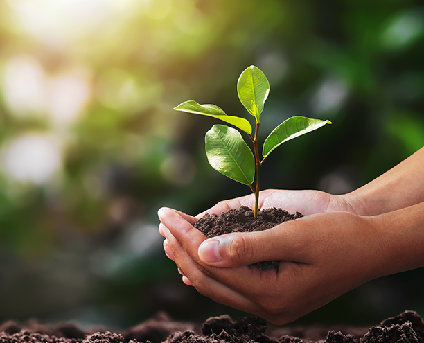 Zenith Sustainability